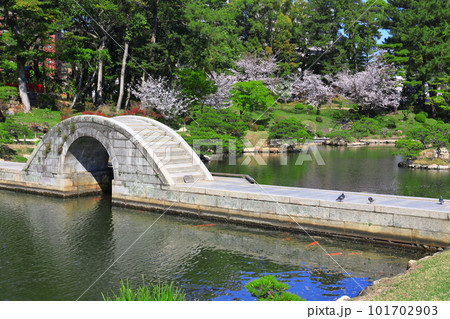 【広島県】桜が満開の縮景園(跨虹橋) 【広島県】桜が満開の縮景園(跨虹橋) 101702903