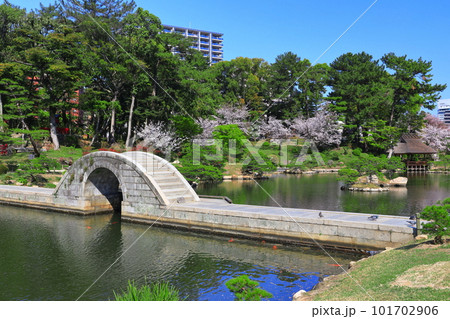 【広島県】桜が満開の縮景園(跨虹橋) 【広島県】桜が満開の縮景園(跨虹橋) 101702906