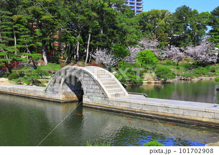 【広島県】桜が満開の縮景園（跨虹橋） 101702908