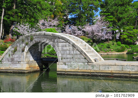 【広島県】桜が満開の縮景園（跨虹橋） 101702909