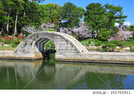 【広島県】桜が満開の縮景園(跨虹橋) 【広島県】桜が満開の縮景園(跨虹橋) 101702911