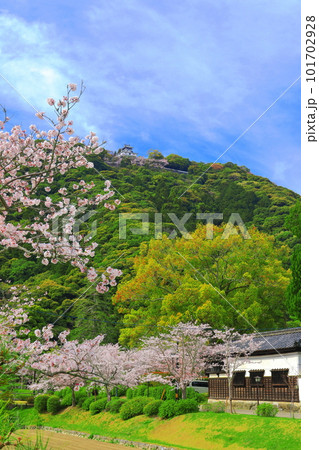 【山口県】満開の桜と錦雲閣と岩国城 【山口県】満開の桜と錦雲閣と岩国城 101702928