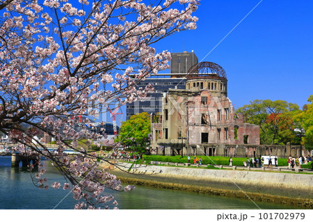 【広島県】満開の桜と原爆ドーム 101702979