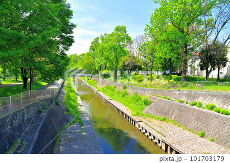 善福寺川緑地/尾崎橋/善福寺川より下流方向を望む(東京都杉並区)【2023.4】 善福寺川緑地/尾崎橋/善福寺川より下流方向を望む(東京都杉並区)【2023.4】 101703179