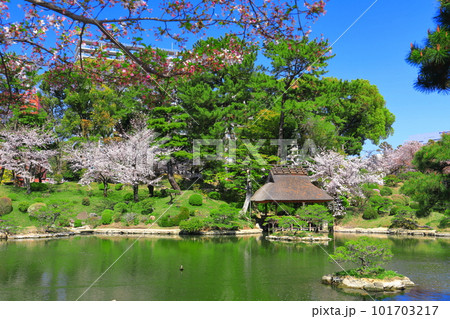 【広島県】桜が満開の縮景園 【広島県】桜が満開の縮景園 101703217