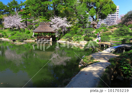 【広島県】桜が満開の縮景園 101703219