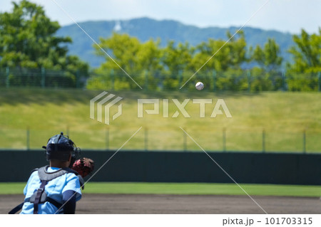 野球の試合中のピッチャーの投げたボールを受けるキャッチャーの後ろ姿 101703315