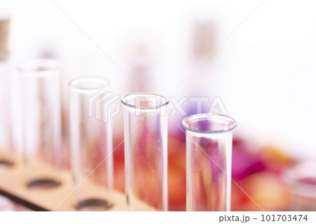 Fresh flowers in chemical test tubes on the table. Preparation of perfumes from natural ingredients, aromatherapy 101703474
