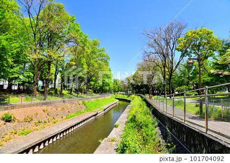 善福寺川緑地/成田下橋/善福寺川より上流方向を望む(東京都杉並区)【2023.4】 善福寺川緑地/成田下橋/善福寺川より上流方向を望む(東京都杉並区)【2023.4】 101704092