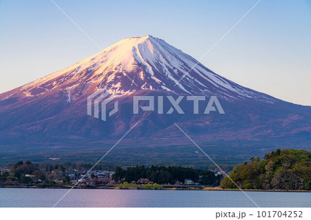 【富士山】河口湖から見る朝焼けの富士山【山梨県】 【富士山】河口湖から見る朝焼けの富士山【山梨県】 101704252