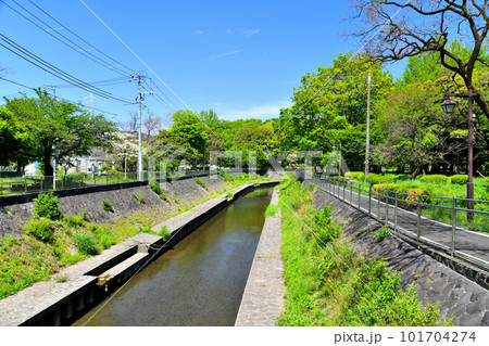 善福寺川緑地／成園橋／善福寺川より上流方向を望む(東京都杉並区)【2023.4】 101704274