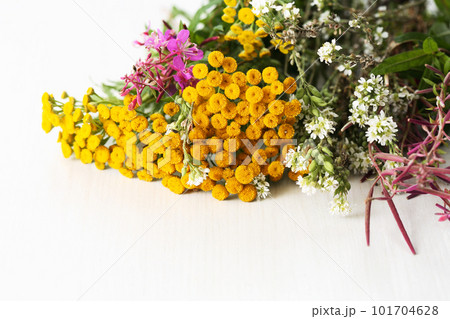 Bouquet of wild flowers Bouquet of wild flowers 101704628