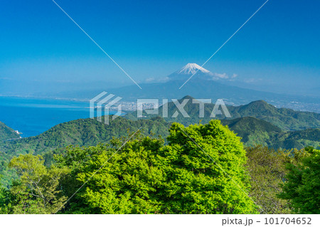 （静岡県）新緑の葛城山から望む富士山 101704652