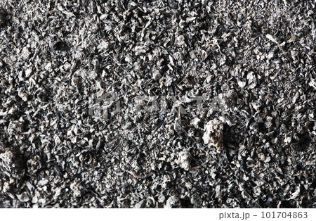 Ash Background 101704863