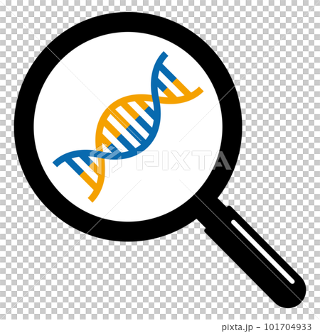 DNA magnified with a magnifying glass 101704933