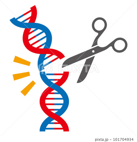 ゲノム編集のイメージイラスト ゲノム編集のイメージイラスト 101704934
