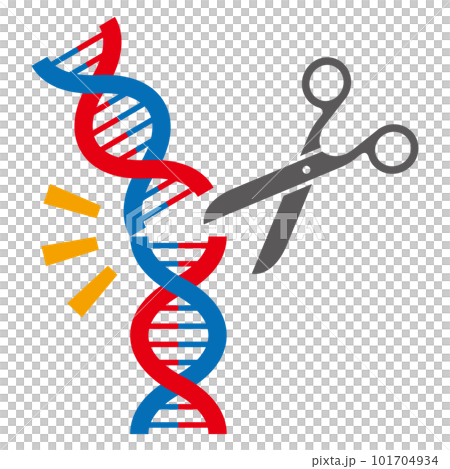 ゲノム編集のイメージイラスト ゲノム編集のイメージイラスト 101704934