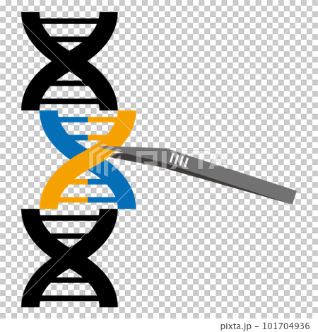 Illustration of genetically modified image 101704936