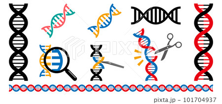 DNAのアイコンセット DNAのアイコンセット 101704937
