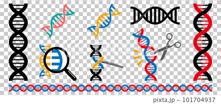 DNAのアイコンセット DNAのアイコンセット 101704937