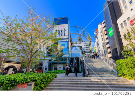 東京 渋谷の都市風景 若者で賑わうミヤシタパーク 東京 渋谷の都市風景 若者で賑わうミヤシタパーク 101705285