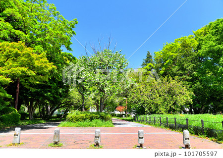 和田堀公園／立正中前広場(東京都杉並区)【2023.4】 101705597