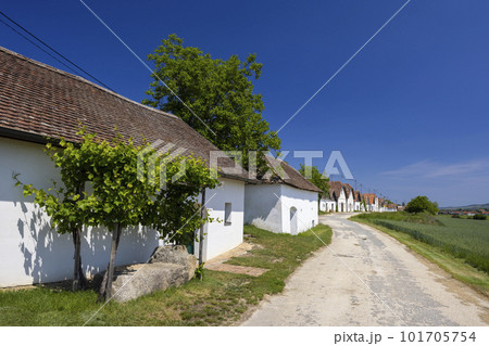 Traditional wine cellars street in Diepolz near Mailberg, Lower Austria, Austria 101705754
