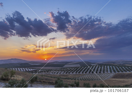 typical Andalusian landscape during sunset, Spain 101706187