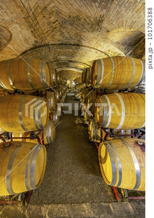 Wine cellar in Castello di Razzano, Piedmont, Italy 101706388