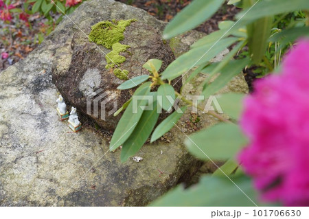 シャクナゲと置物 101706630