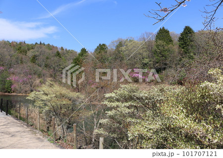 広島 三景園 広島 三景園 101707121