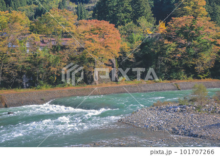 1 Nov 2013 Sho river, main river at Shirakawa village in summer. 101707266