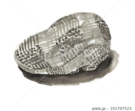 水彩で描いたハンチング帽23419pix7 水彩で描いたハンチング帽23419pix7 101707523