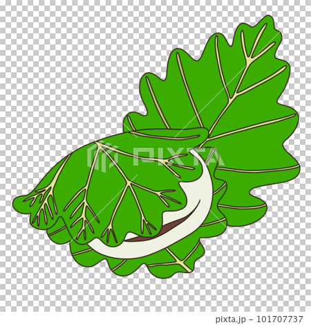 Kashiwamochi 101707737