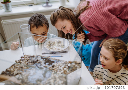 Young teacher making little greenhouse with their pupils, learning them about planting. 101707898