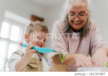 Grandmother with her grandson planting vegetables and flowers. 101707967