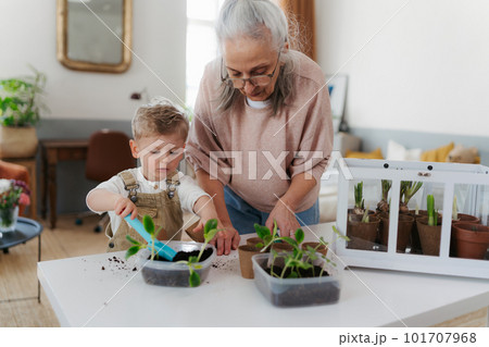 Grandmother with her grandson planting vegetables and flowers. Grandmother with her grandson planting vegetables and flowers. 101707968