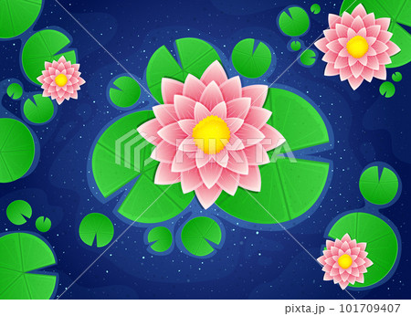 Water lily background 101709407
