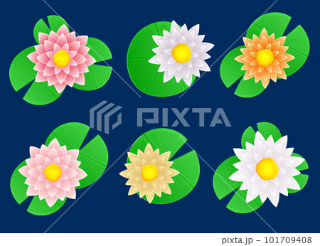 Water lily flower vector design illustration isolated on background 101709408