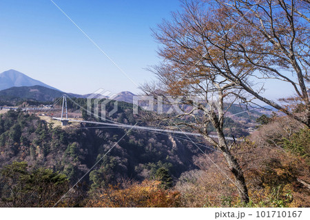 九重夢大吊橋　大分観光スポット　日本一の高さを誇る吊橋　天空の散歩道　渓谷に架かる大吊り橋 101710167