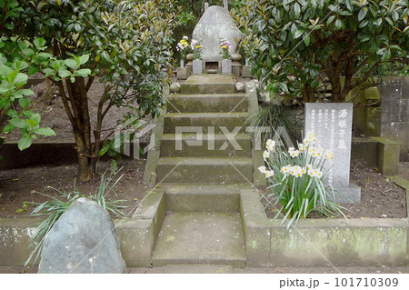 竹御所（源頼家の娘）の墓【妙本寺・比企能員の屋敷跡】神奈川県鎌倉市 101710309