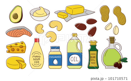 脂質を多く含む食品のベクター線画イラスト／油・ナッツ・チーズ・アボカドなどのイラスト素材 [101710571] - PIXTA