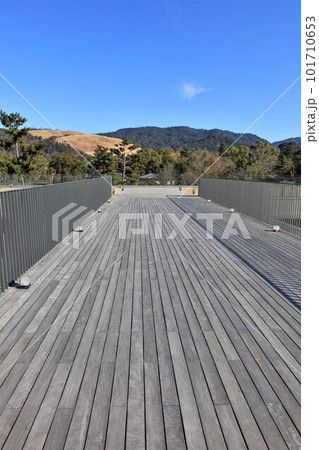 奈良公園バスターミナル屋上展望スペースから見た若草山（奈良県奈良市） 101710653