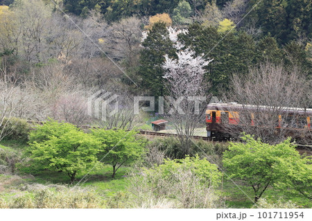 わたらせ渓谷鐵道「春の山間部を走る列車」 101711954