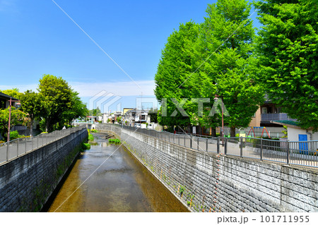 熊野橋／善福寺川より上流方向を望む(東京都杉並区)【2023.4】 101711955