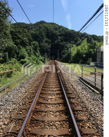 森へ続く線路 森へ続く線路 101711987