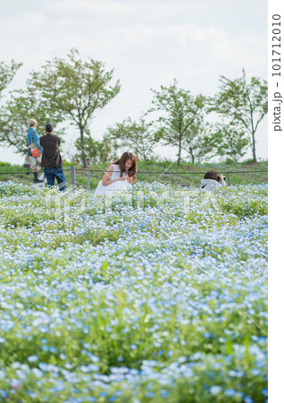 ネモフィラ畑を散歩する女性 ネモフィラ畑を散歩する女性 101712010