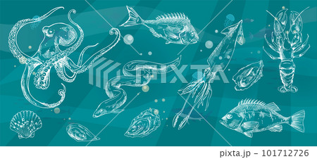 Hand drawn sea products, seafood recipe ingredients. Silhouettes of fish restaurant menu assortment Hand drawn sea products, seafood recipe ingredients. Silhouettes of fish restaurant menu assortment 101712726