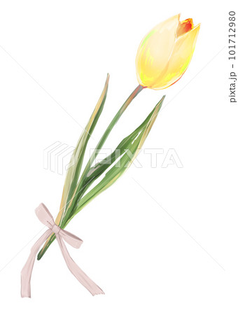 一輪のチューリップ リボン 黄色 一輪のチューリップ リボン 黄色 101712980