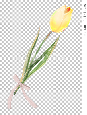 一輪のチューリップ リボン 黄色 一輪のチューリップ リボン 黄色 101712980